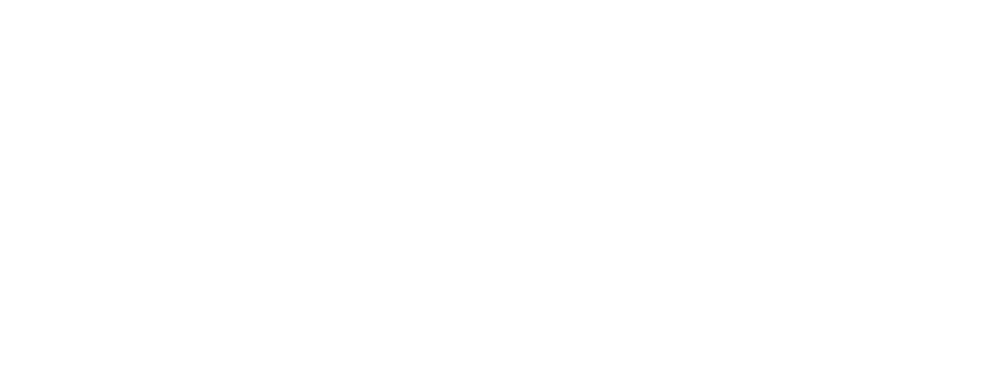 Vet Center of Hudson Logo in White.