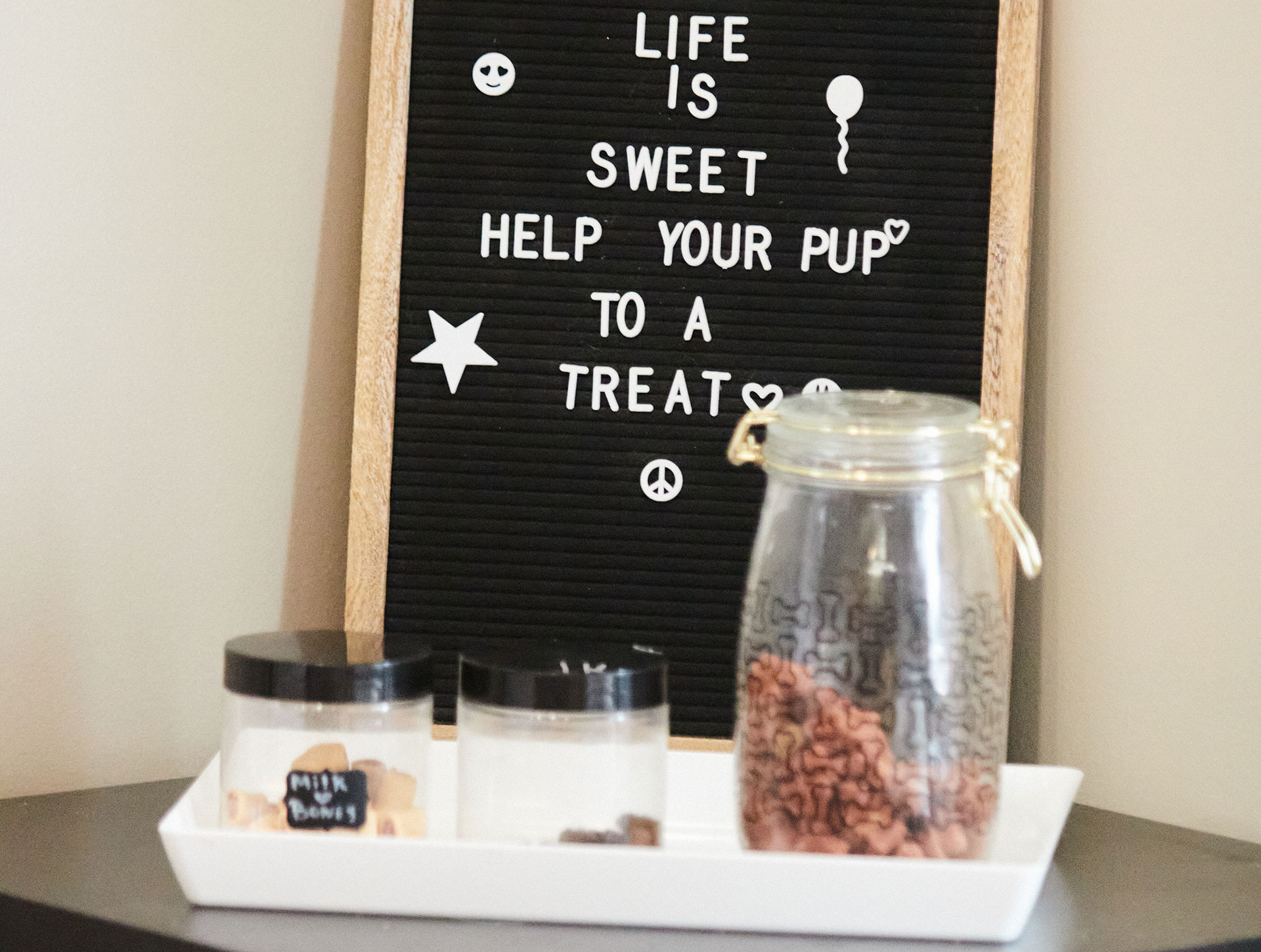 An image of a dog treat bar that has a sign. The sign says "Life Is Sweet Help Your Pup To A Treat"