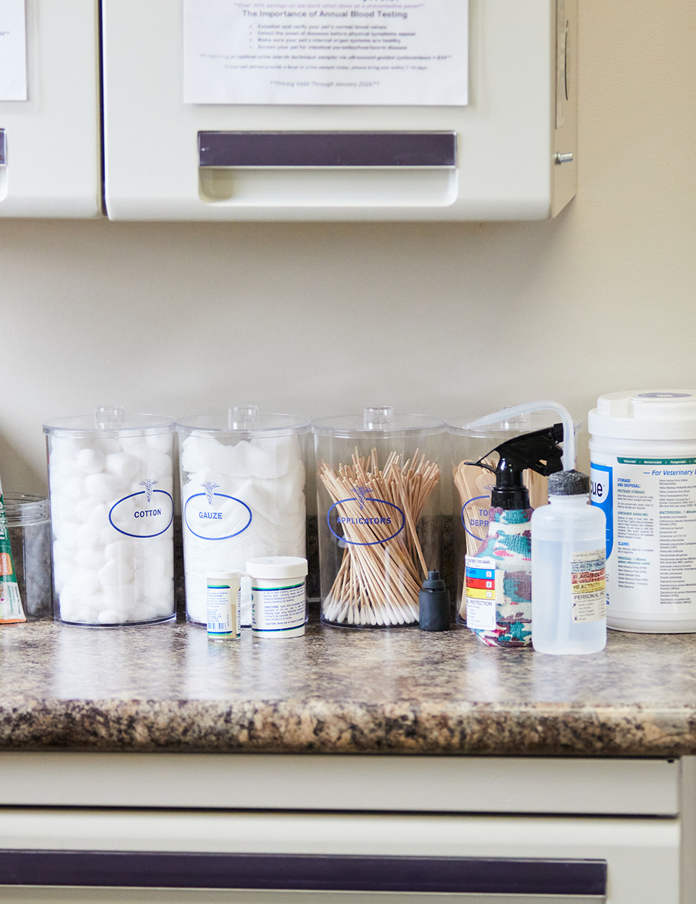 An image of a counter at a veterinarian office with gauze, cotton balls, and tongue depressors on it.
