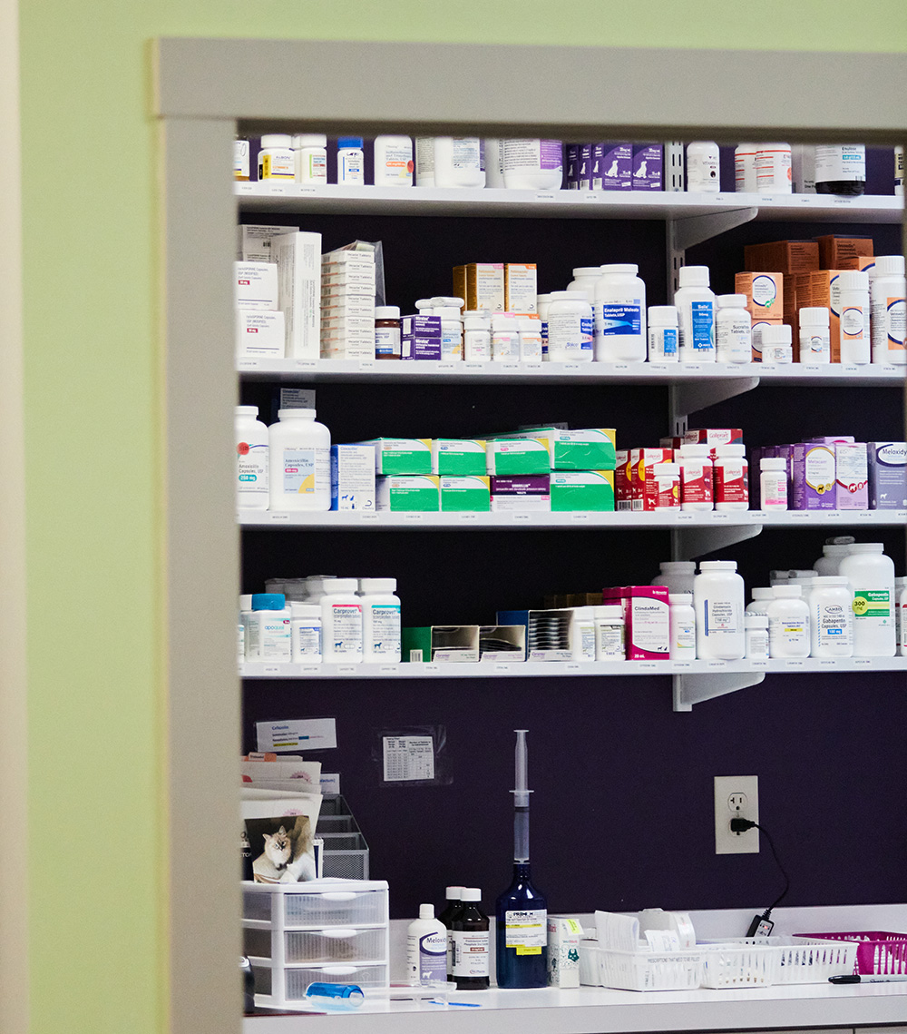 An image of shelves of medicine in a pharmacy.
