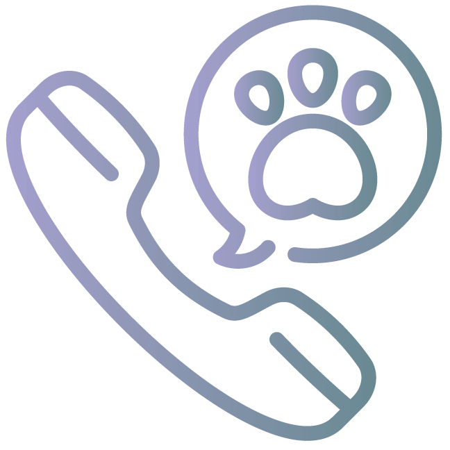Graphic of a phone with a chat bubble next to it.