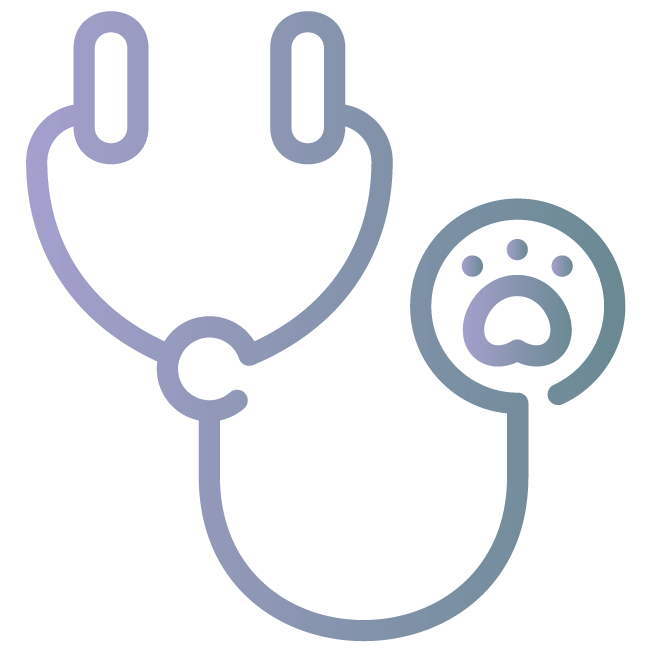 Graphic of A Stethoscope